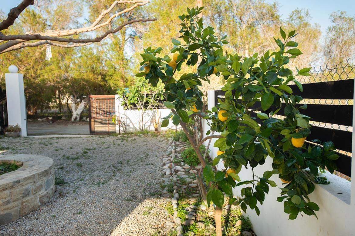 Afrathias Beachhouse - Cretan Hideaway Kalamaki  Ngoại thất bức ảnh